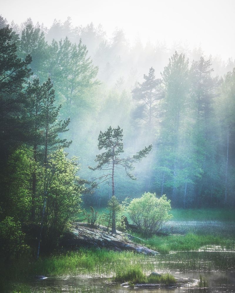 Photograph by Кононов Антон