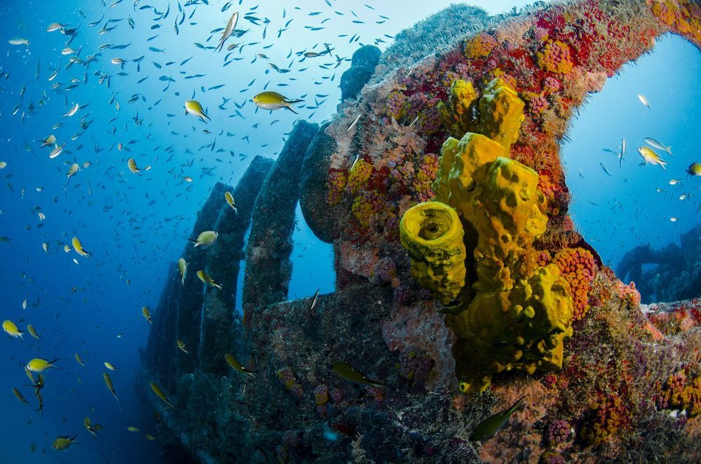 Photograph by ANTONIO RUVER BANDEIRA