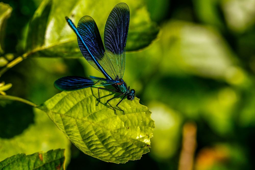 Photograph by Александр Ермаченко
