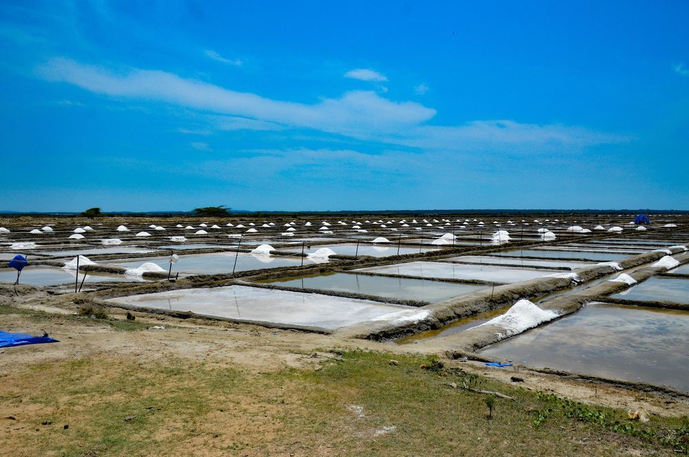 Фотография автора Subhadeep Debnath