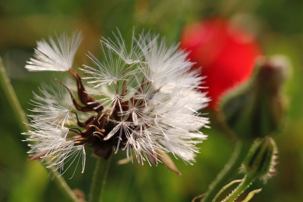 Photograph by Ольга Золототрубова