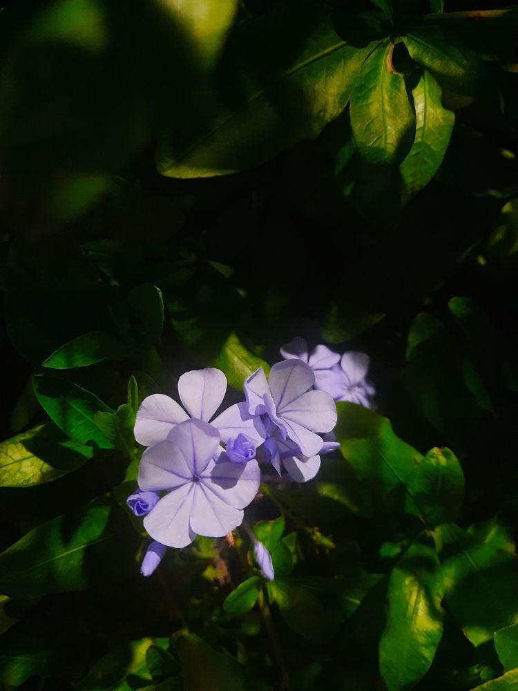 Фотография автора Tetiana Danylenko