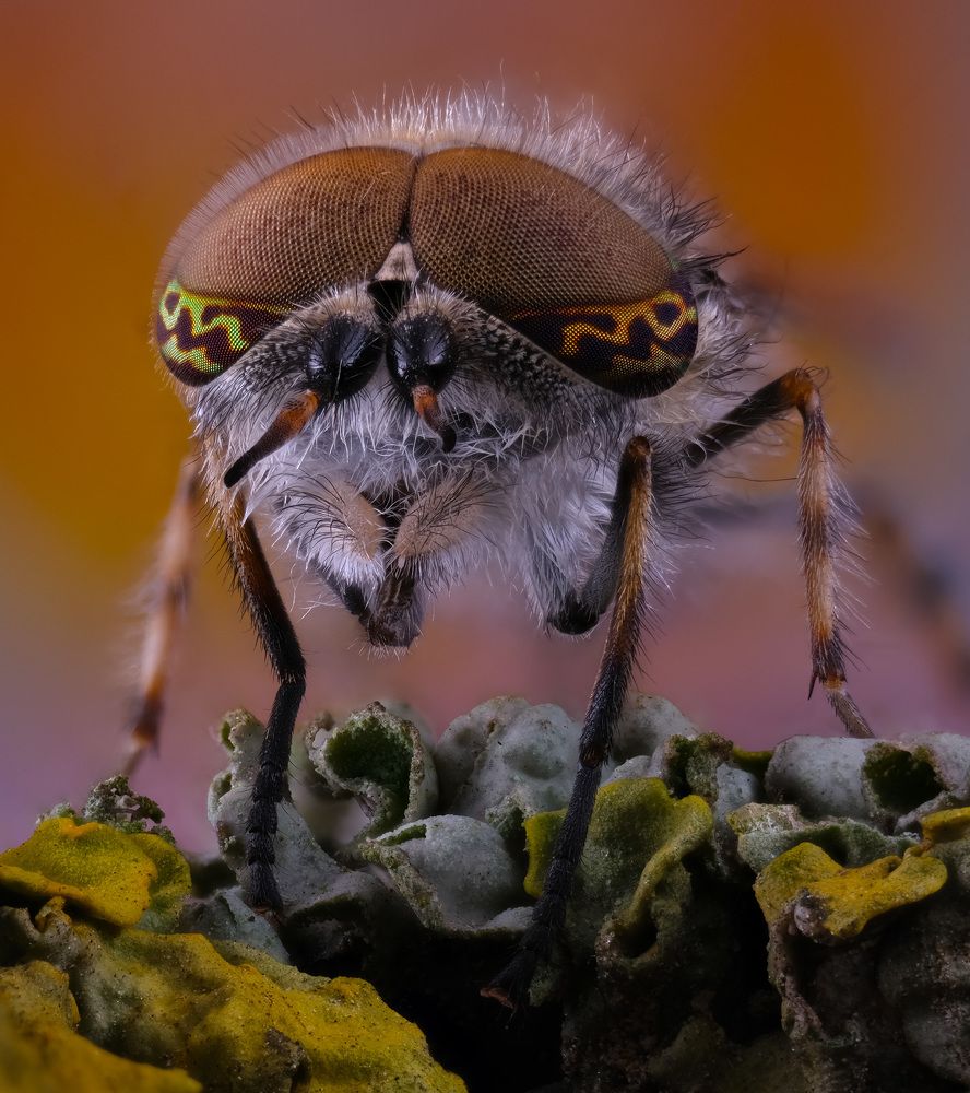 Photograph by Юрий Юрьевич