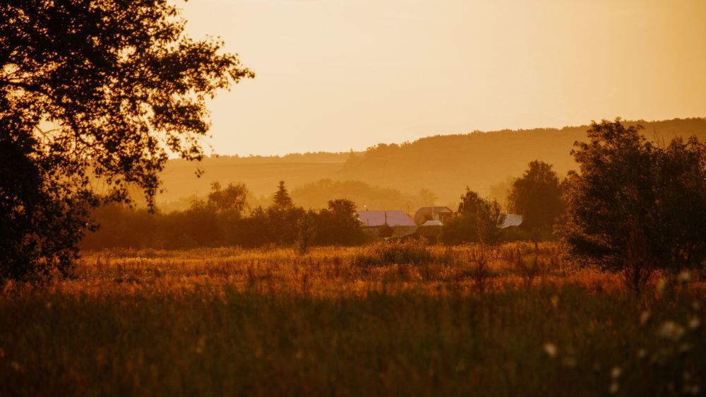 Photograph by Ирина Корпачева