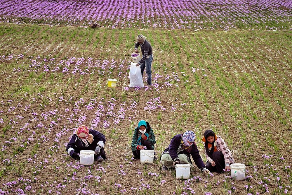 Photograph by Mehdi Sepehri