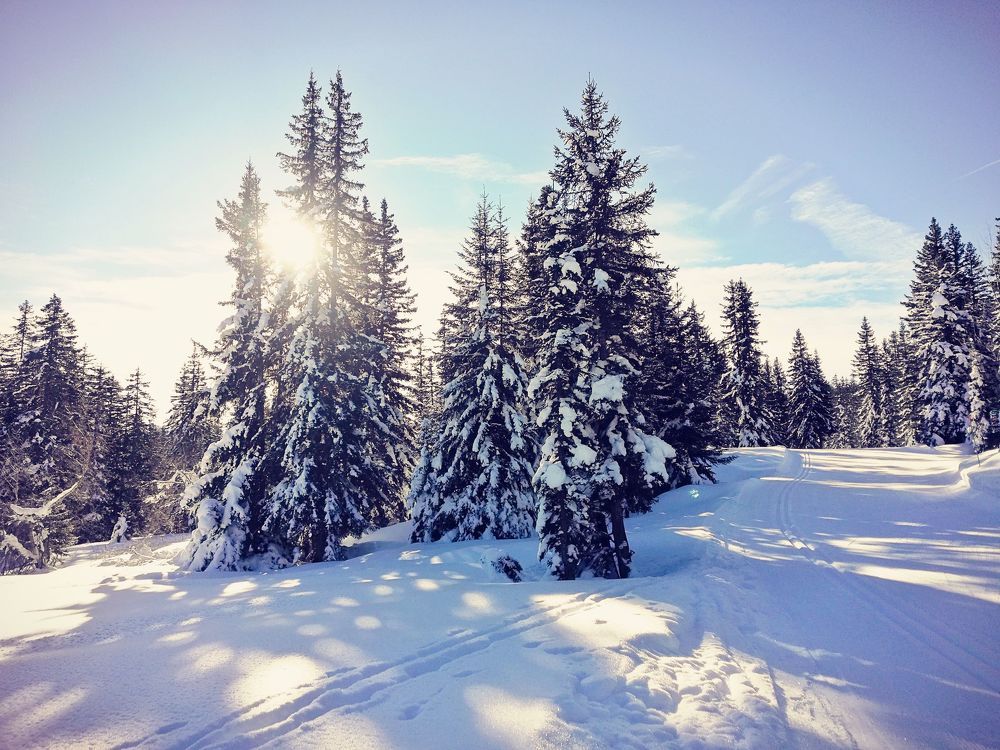 Photograph by Burdikova Inna