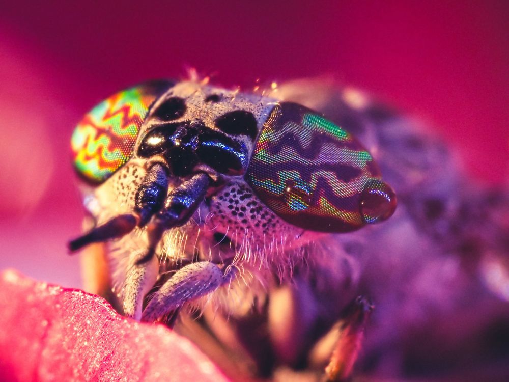 Photograph by Olga Link