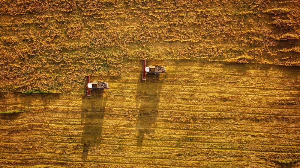 Photograph by elga_fly