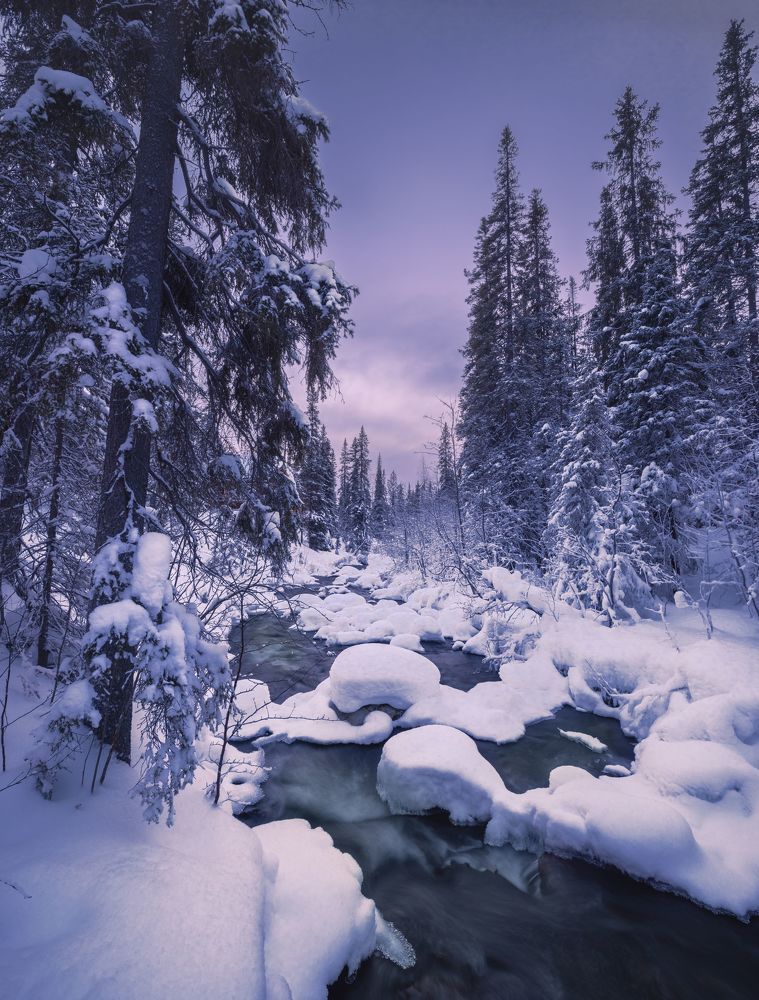 Зимний ручей