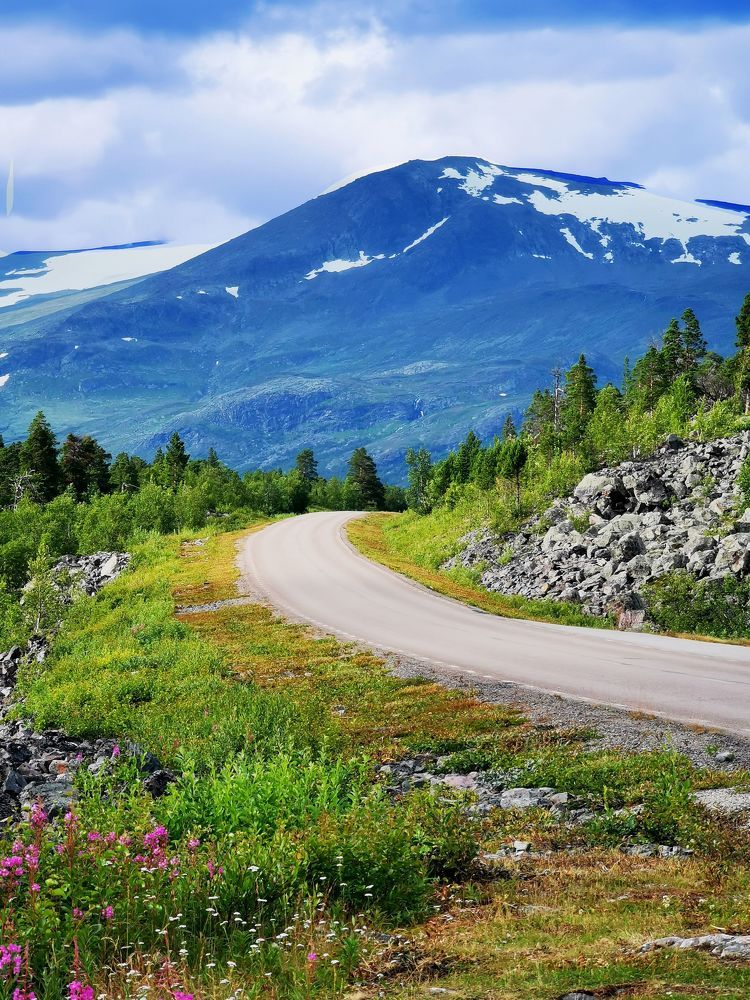 Photograph by Svetlana Jegorova