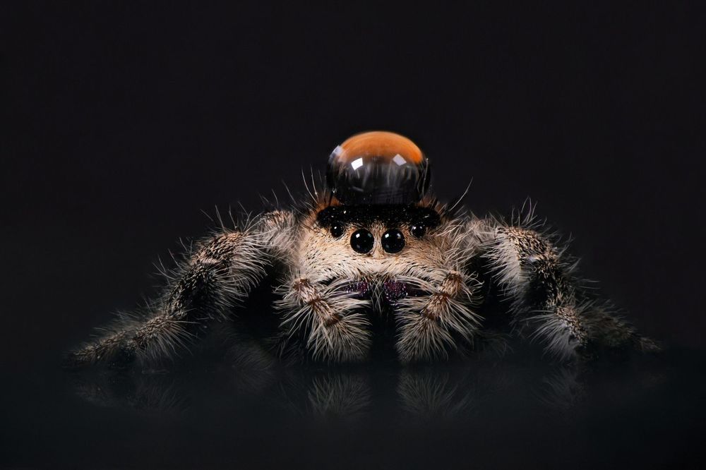 Photograph by Третьякова Анастасия