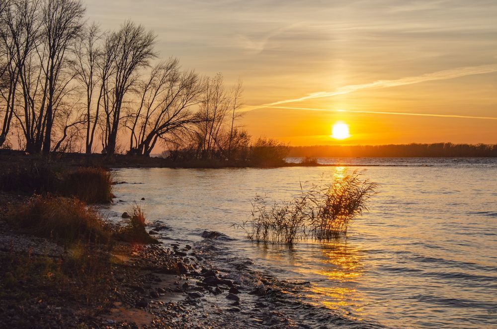 Photograph by Ирина Корпачева