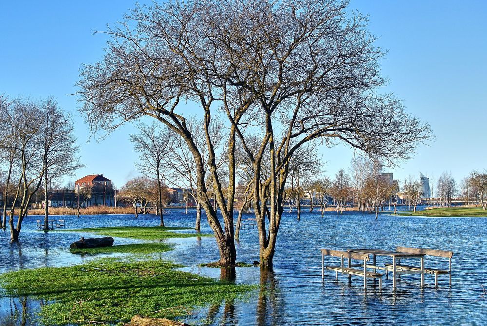 Photograph by Ivars Andrups