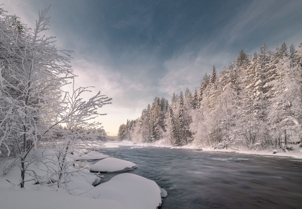 Photograph by Diana Karp