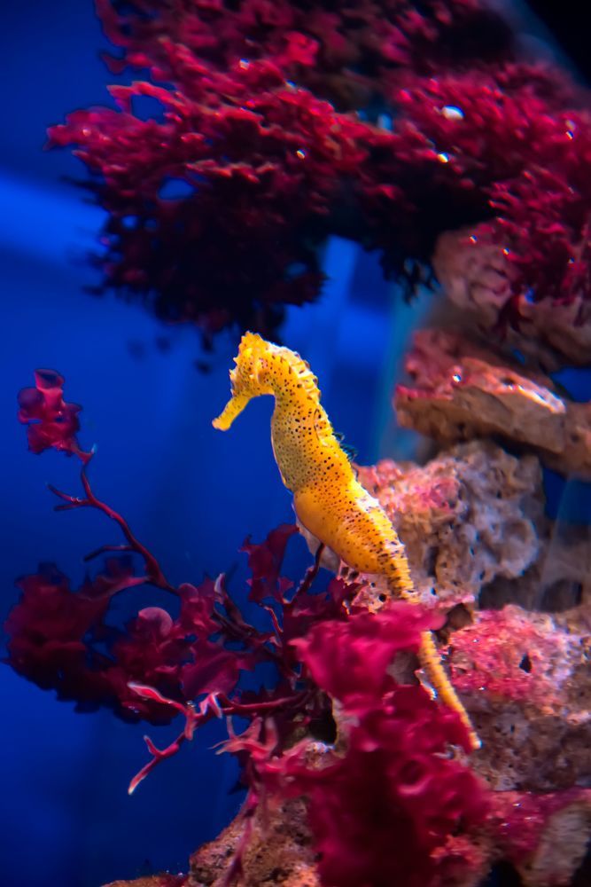 Photograph by Ксения Базарова