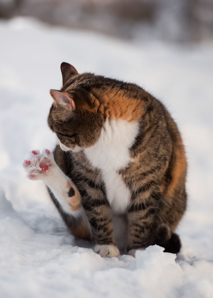 Photograph by Гантажевская Светлана