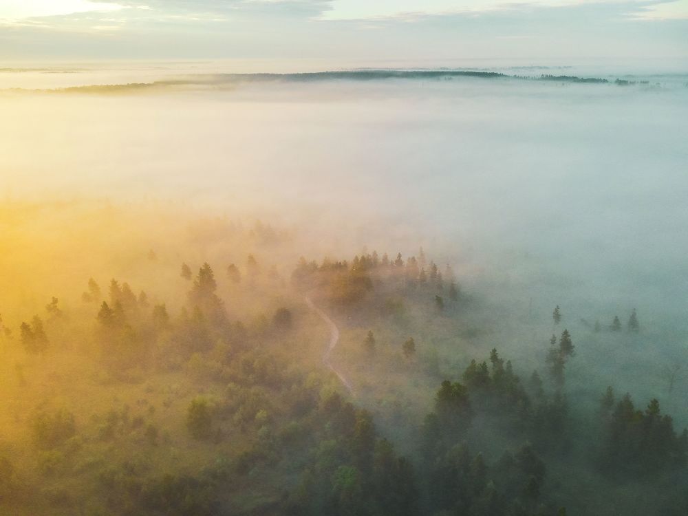 Photograph by Андрей Чураев