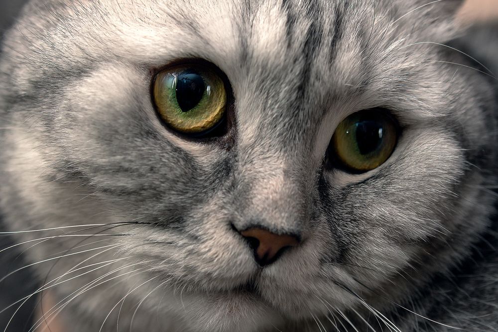 Photograph by Evgeny Pyatkov