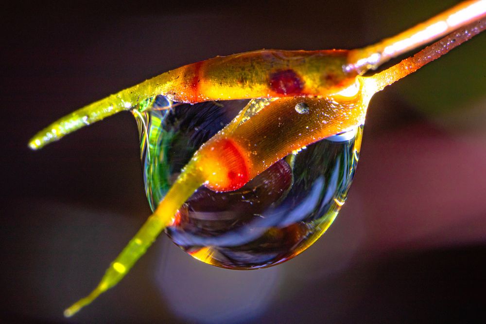 Photograph by Александр Есликов