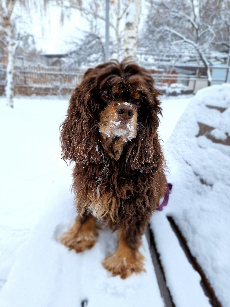 Photograph by Inessa Botasheva