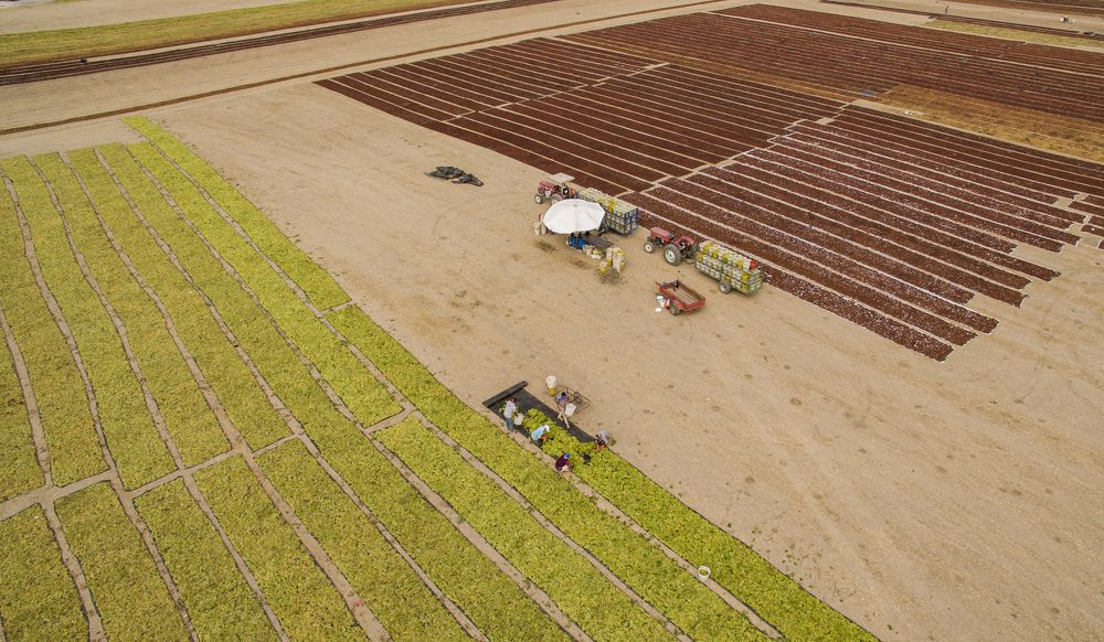 Photograph by ERDEM ARIF YIGIT