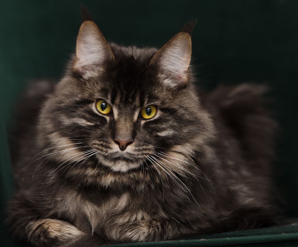 Photograph by Михаил Шорохов