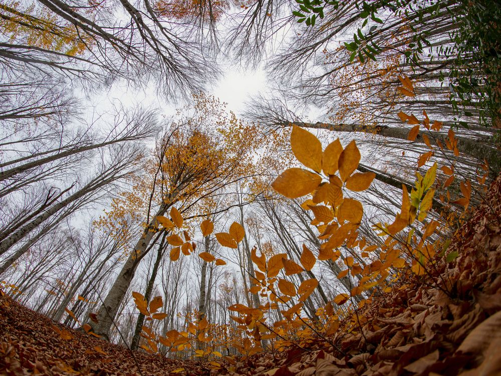 Photograph by ERDEM ARIF YIGIT