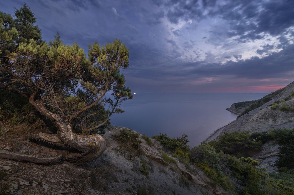 Photograph by Diana Karp