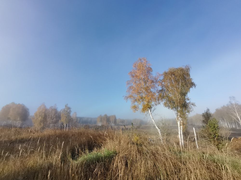 Photograph by Ульяна Рожнова