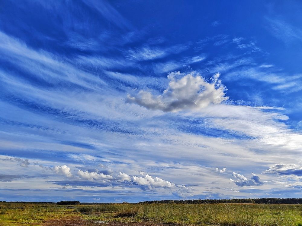 Photograph by Мария Тёмкина