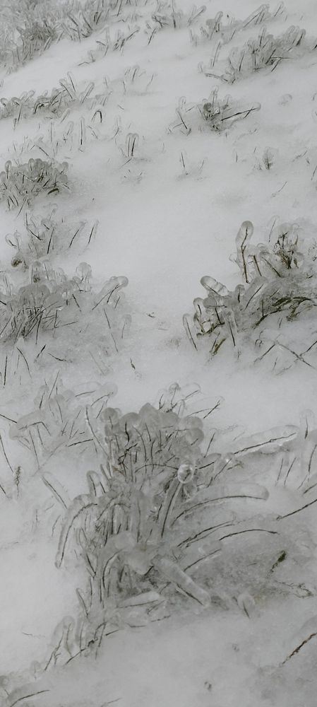 Photograph by Ирина Егорова