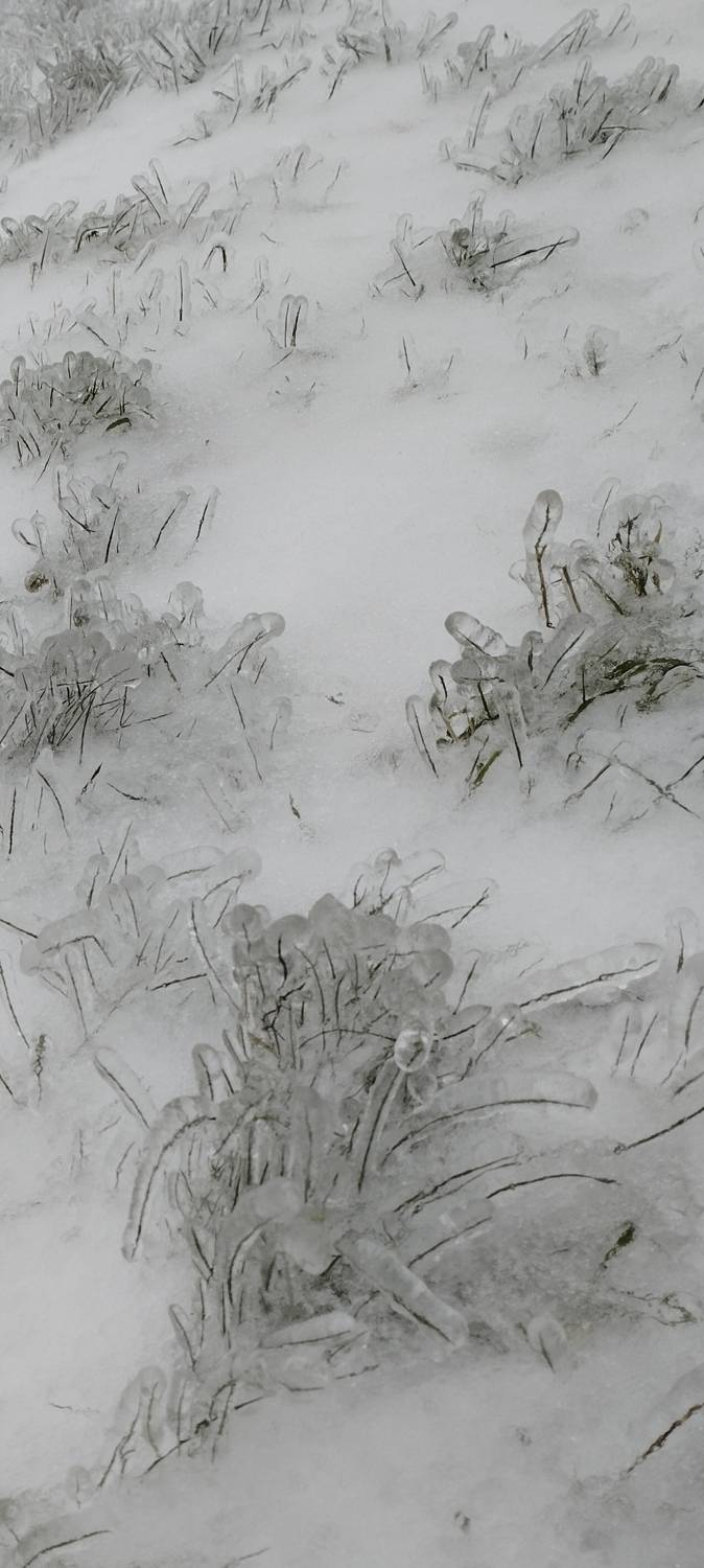 Photo #8974494