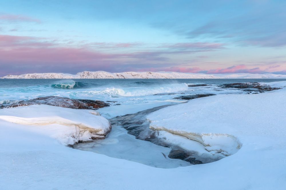 Фотография автора Александр Пашеничев