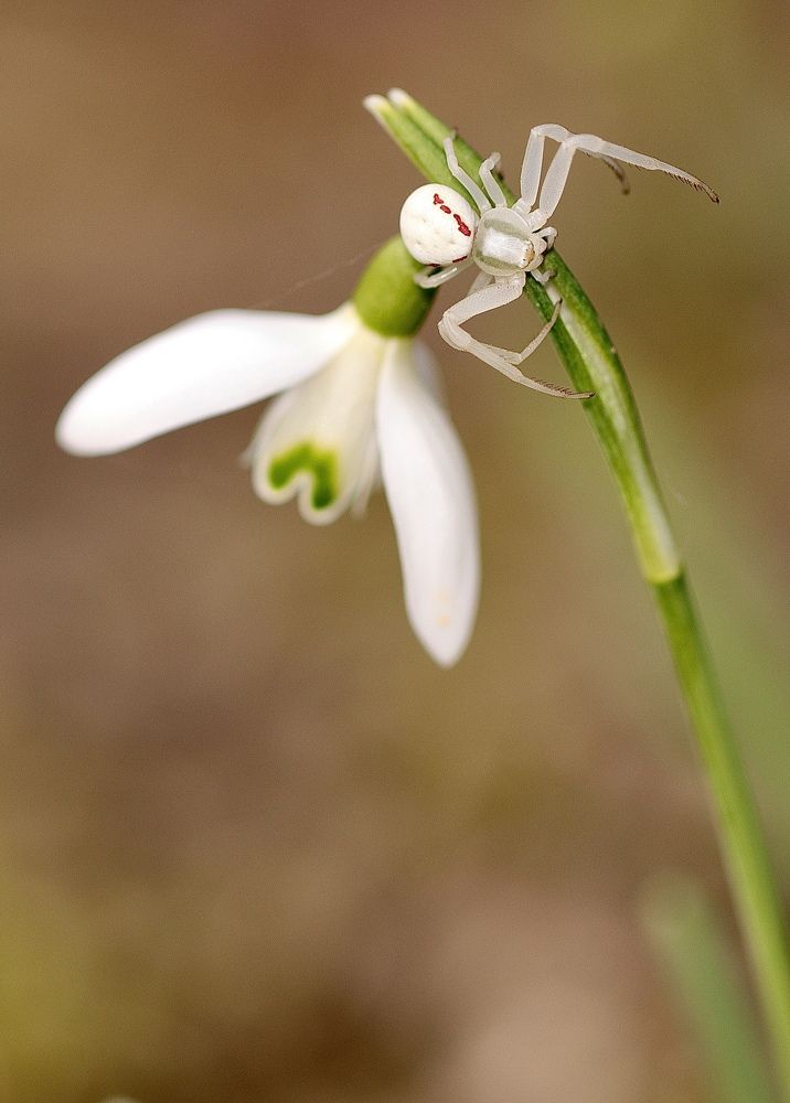 Photograph by Малика Маткарим