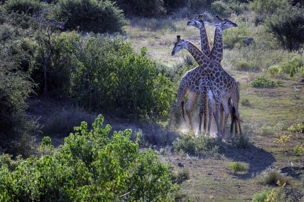 Photograph by Laima Kuriene