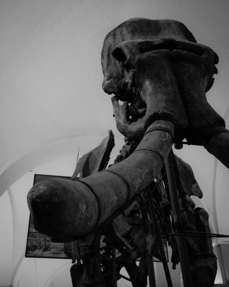 Photograph by Дарья Макаревич