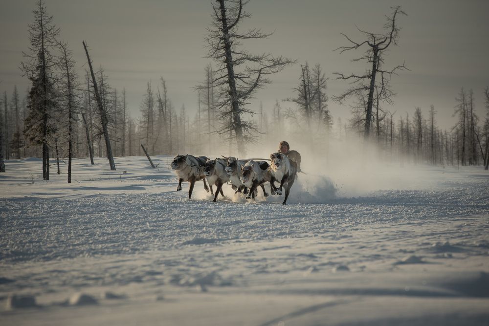 Фотография автора Ilia Vytnov