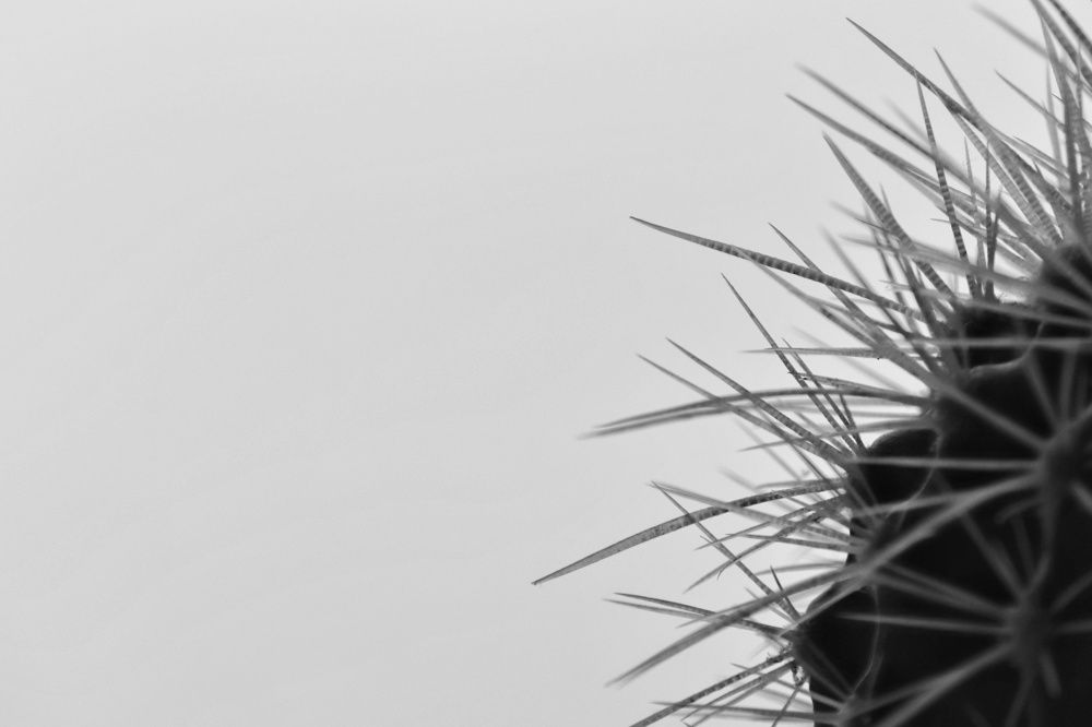 Photograph by Мария Тёмкина