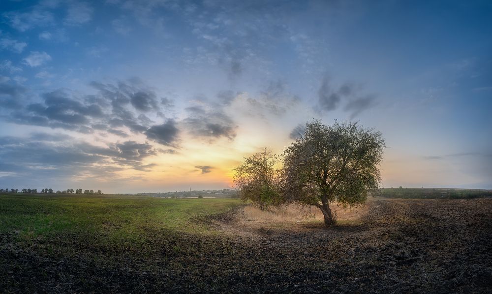 Photograph by Сергей Воробьев