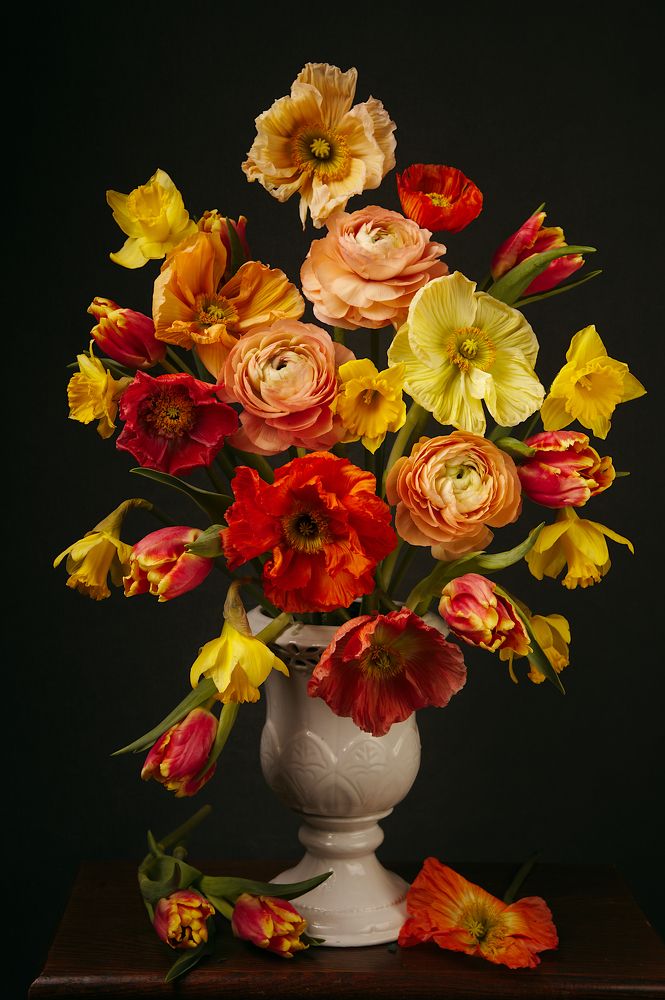 Фотография автора Марина Красовская