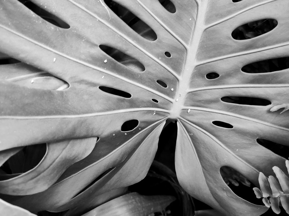 Photograph by Дарья Галиуллина