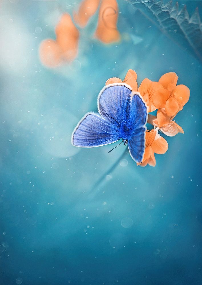 Photograph by Dana S.