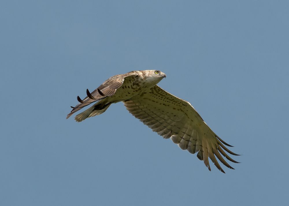 Photograph by Wendy Vanhoudt