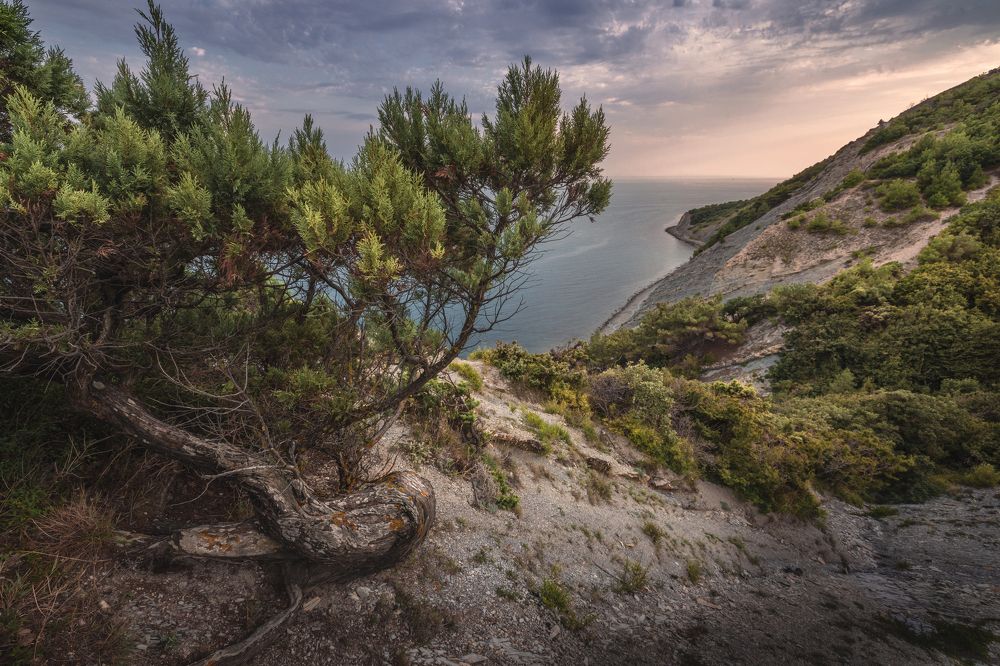 Photograph by Diana Karp