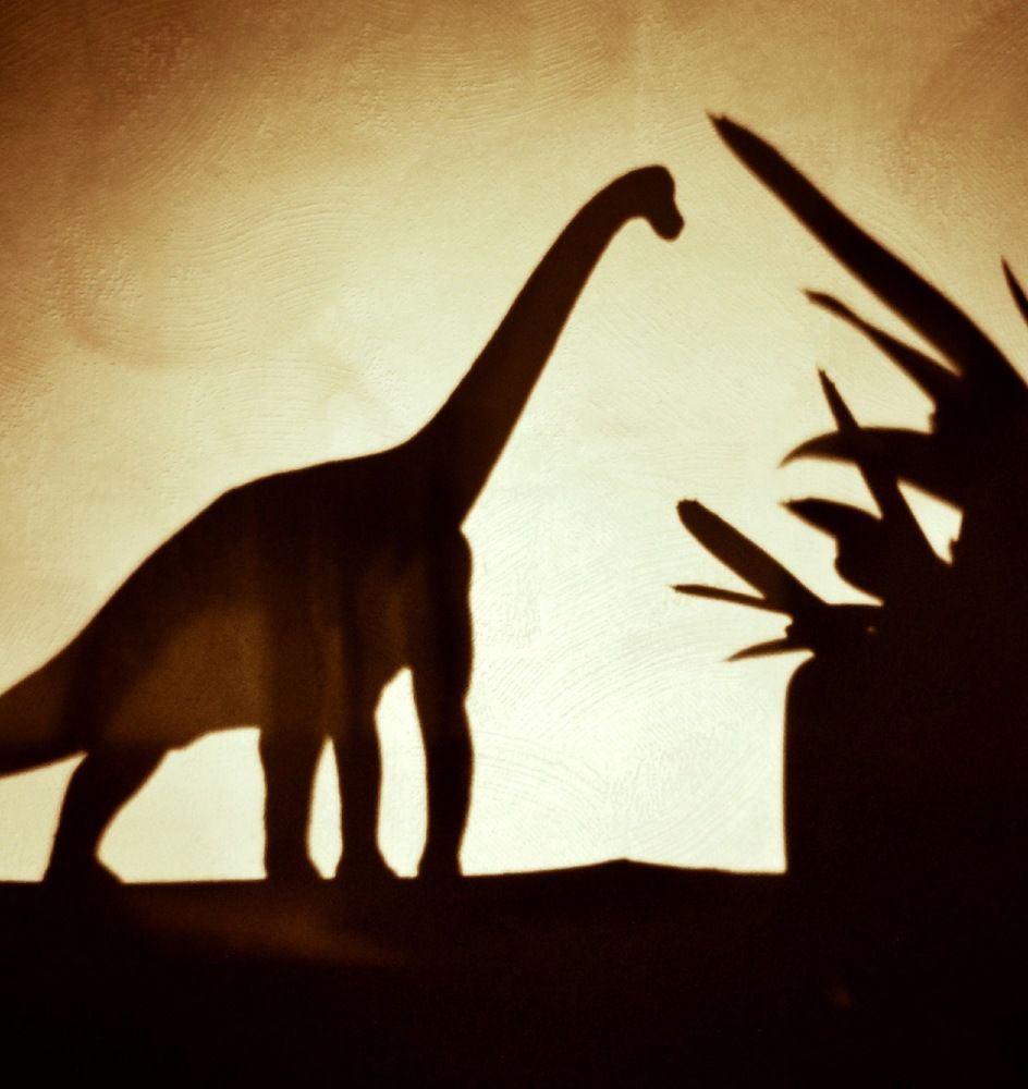 Photograph by Анна Мамаева