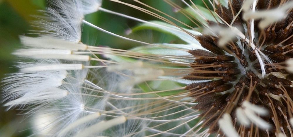 Фотография автора Владислава Андрюнина