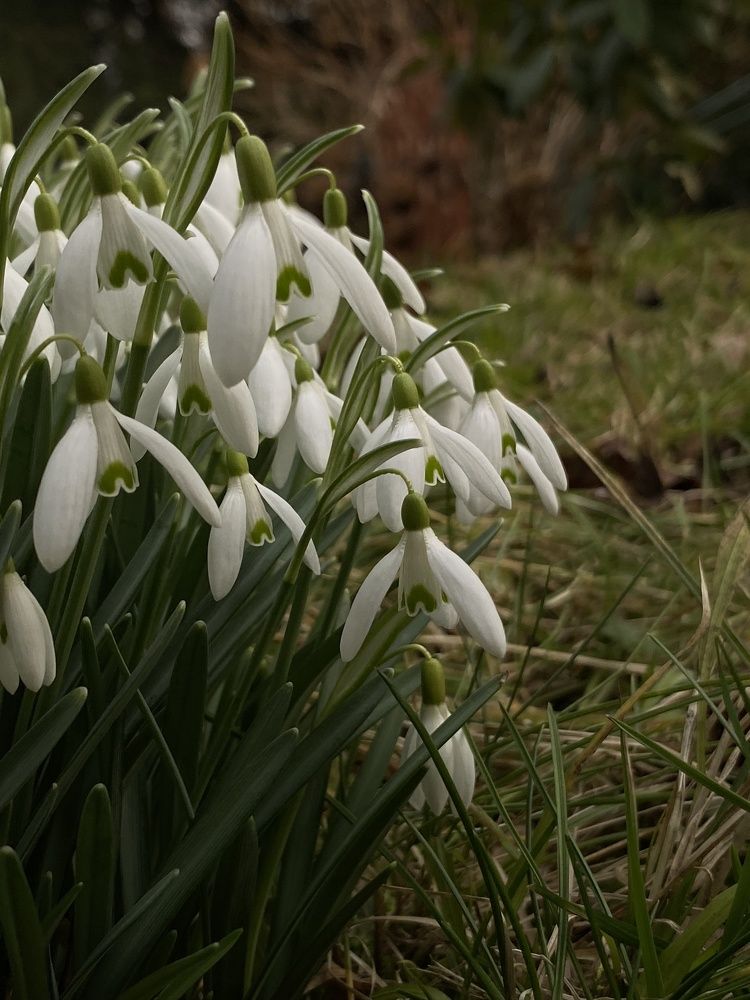 Photograph by Оксана Сидоренко