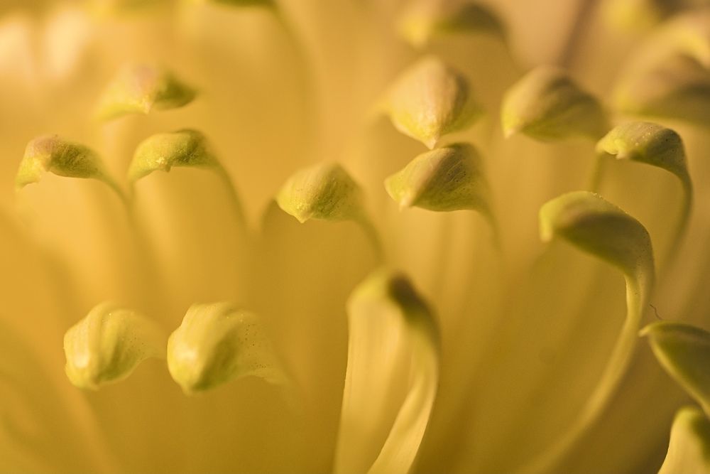 Фотография автора Helena Ivanova