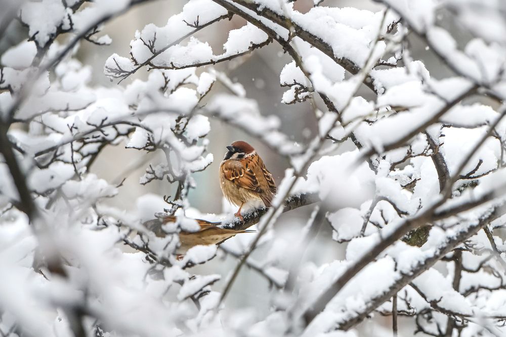 Photograph by Мария Новоселецкая