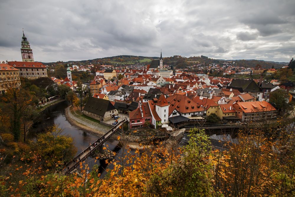 Photograph by Ольга Золототрубова